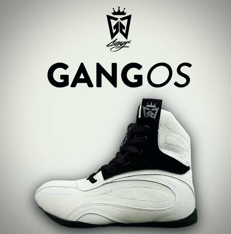 Zapatillas GANGX OS