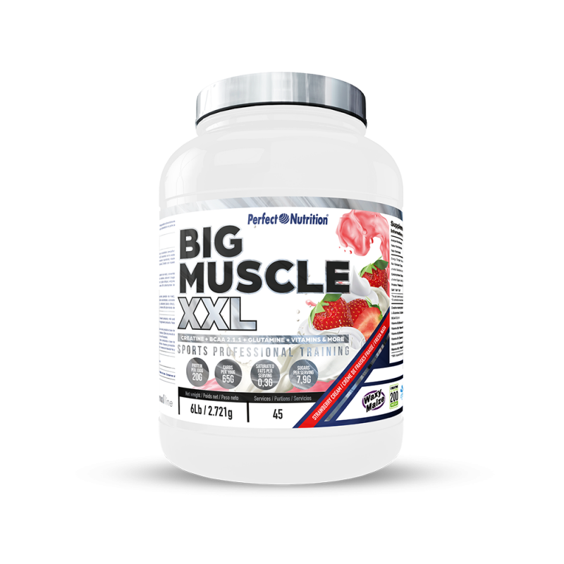 BIG MUSCLE XXL 2,7