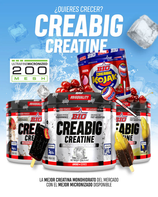 BIG CREABIG CREATINA FIESTA / KOJAK 200MESH  250G